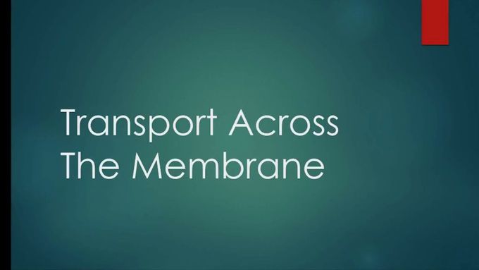 Flashcard- Transport Across Cell Membrane