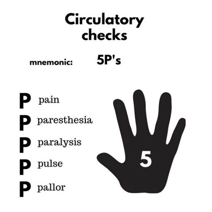 5 Circulatory check P's