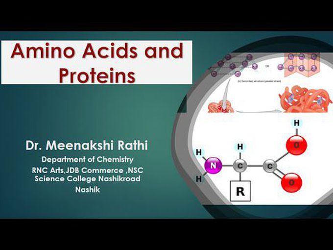 Primary structure protein-brief.