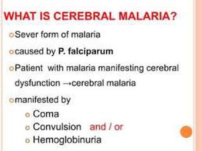 Cerebral malaria