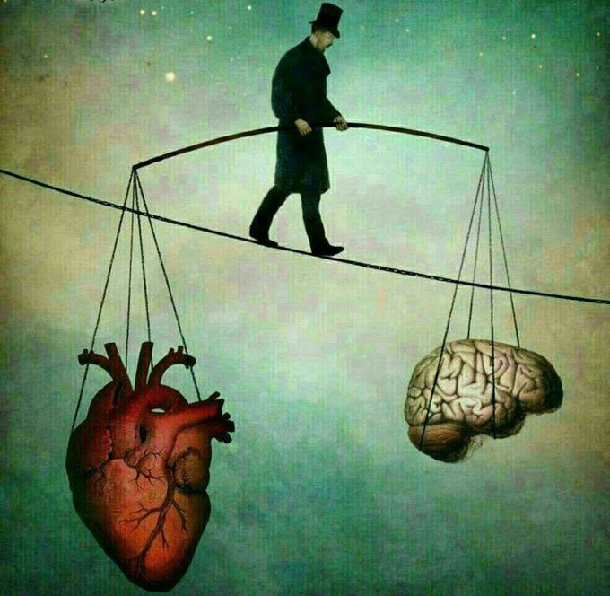 Heart and brain