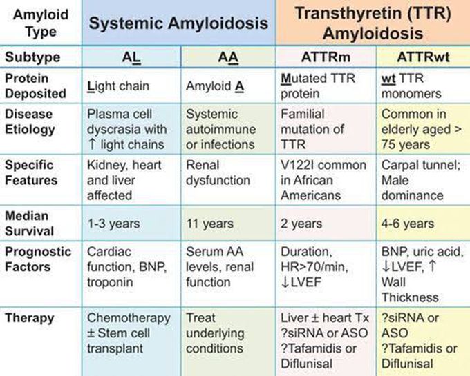 Types of Amyloids