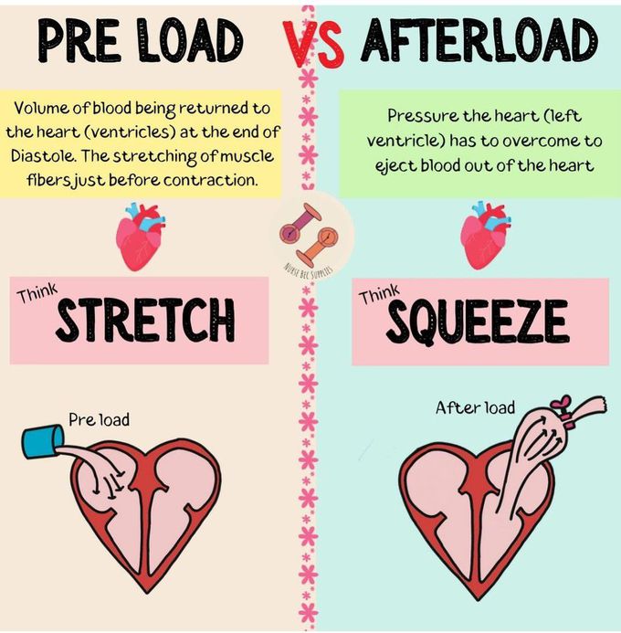 Preload vs afterload medizzy