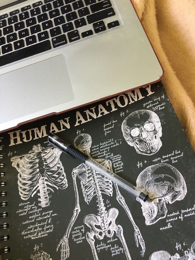 Human Anatomy 📝