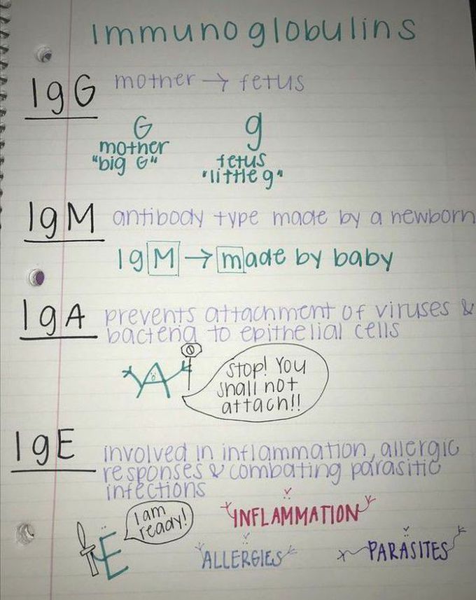 Easy way to recall immunoglobulin
