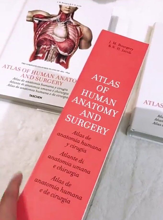 Human anatomy..