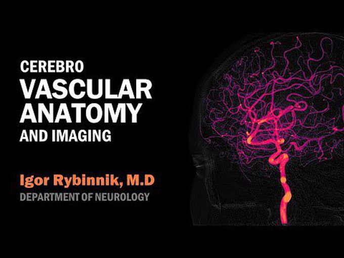Anatomy of Blood Supply of Brain on Imaging