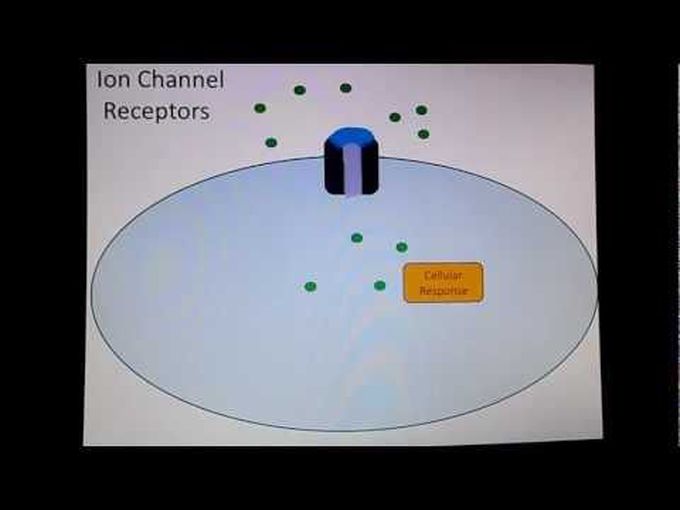Ion channels receptor types- pharmacodynamics