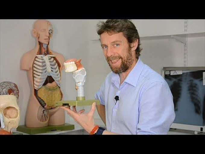 Muscles of the tongue (anatomy)