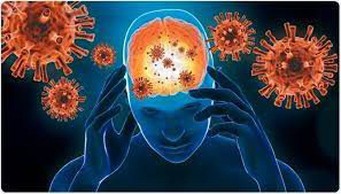 What causes encephalitis?