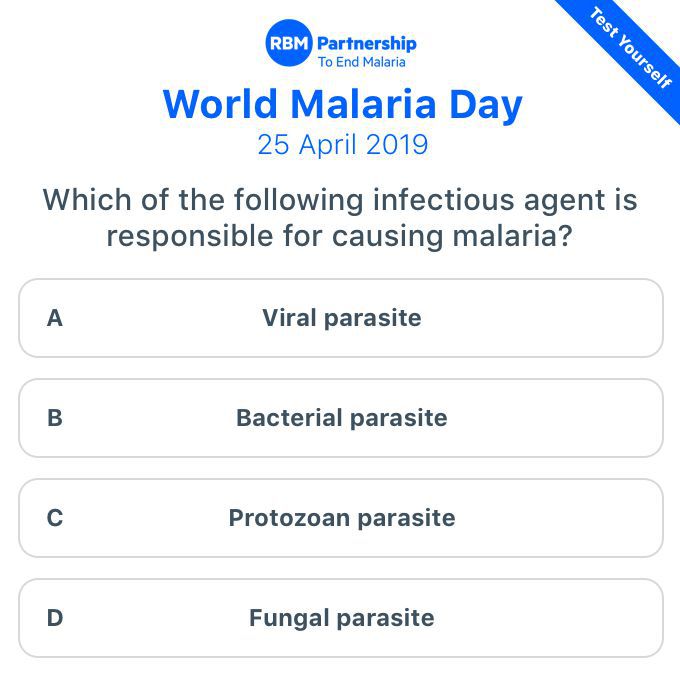 World Malaria Day