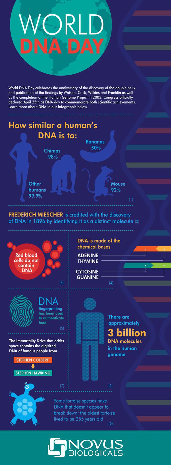 World DNA day importance of dna discovery - MEDizzy