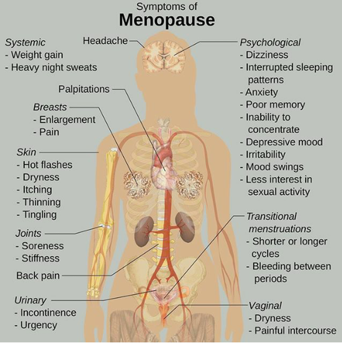 Symptoms during menopause. 