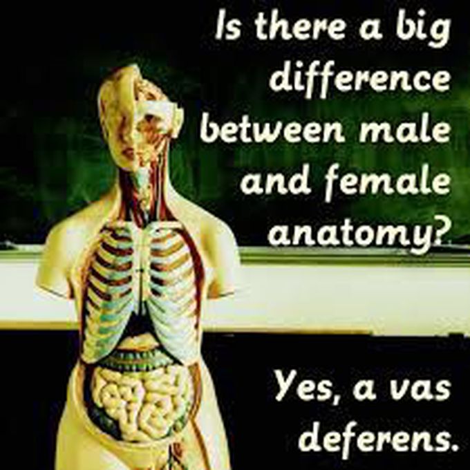Anyone up for other differences?😂