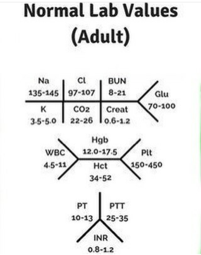 Normal Lab Values - MEDizzy