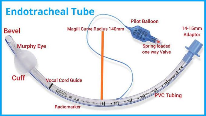 Endotracheal tube