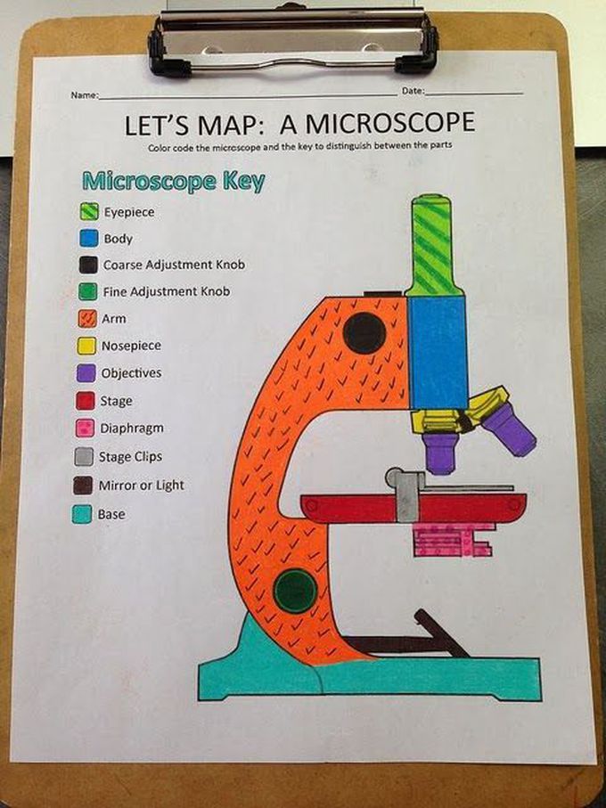 Microscope