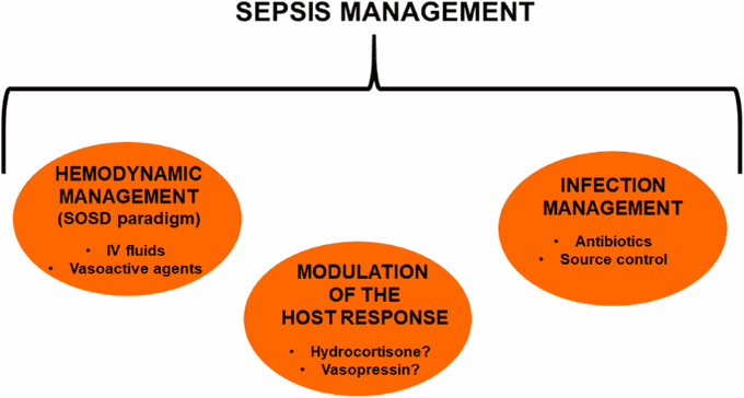 Management of septic shock