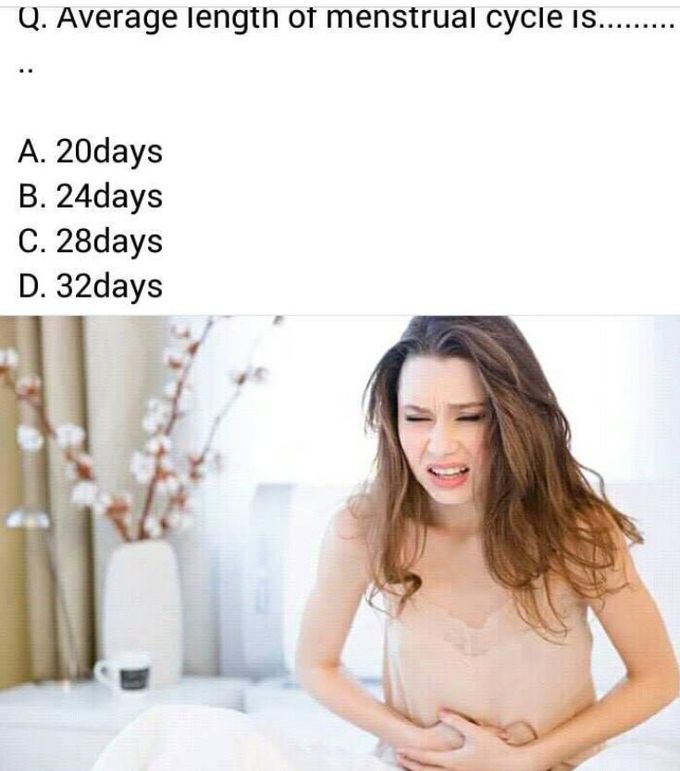 Answer