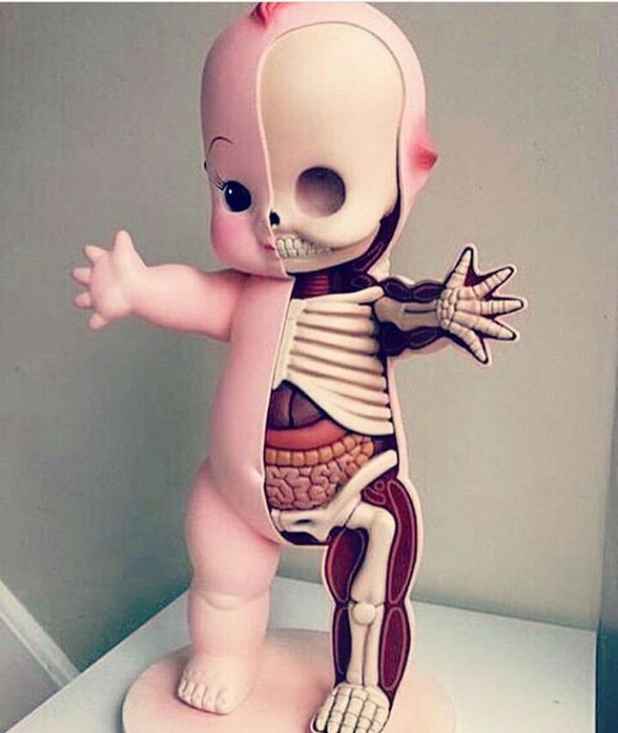 BABY 👶 ANATOMY.....