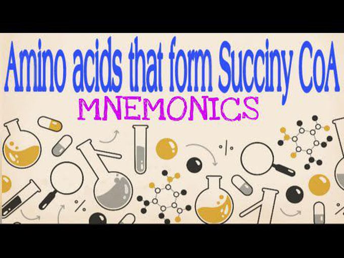 Succinyl CoA producing amino acids