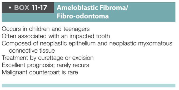 Fibro Odontoma