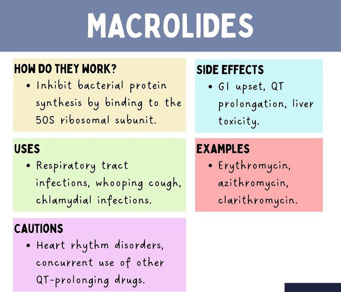 Macrolides