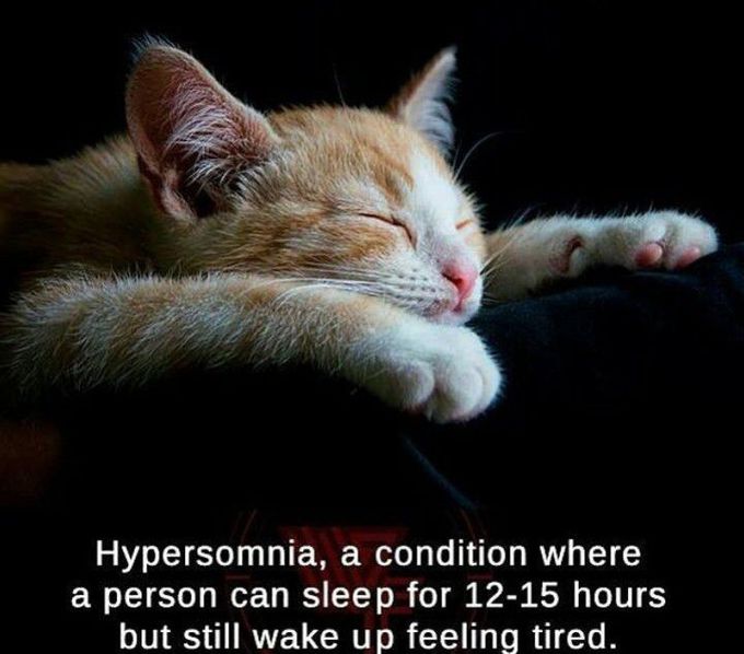 #hypersomnia #makes #uh laZy😂
