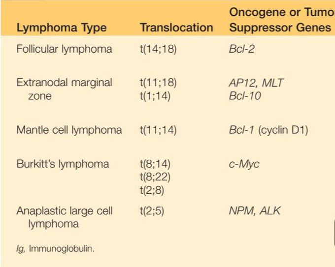 Lymphomas