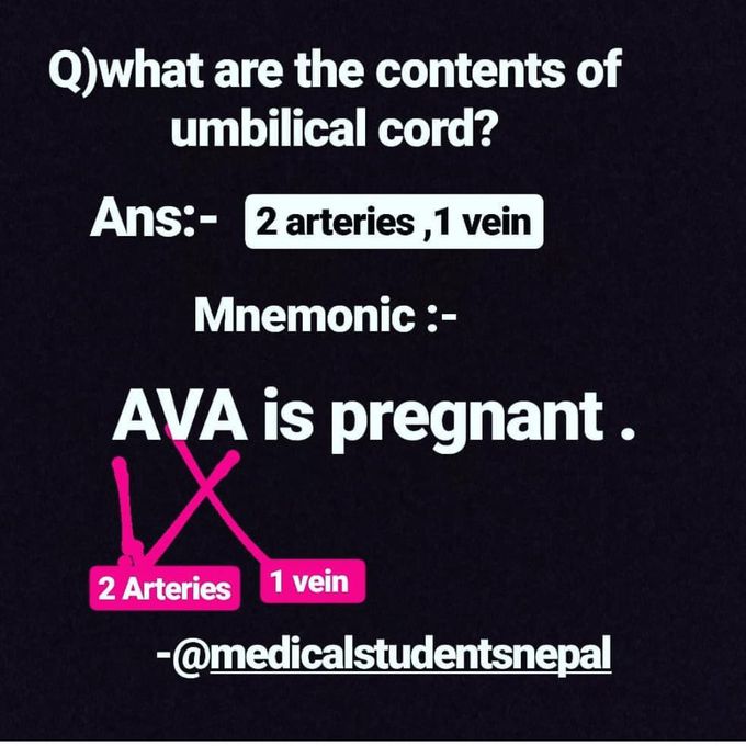 Umbilical cord contents☘☘