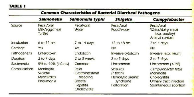 Bacteria causing diarrhea