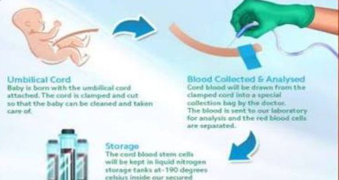 Cord blood baking