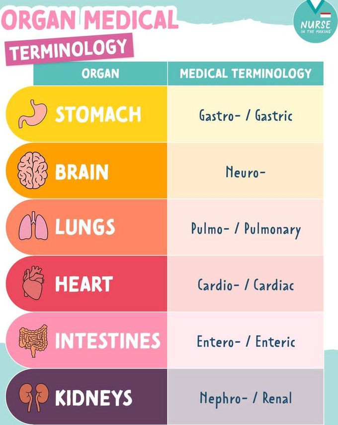 Organ Medical Terminology I