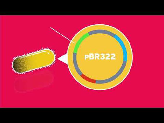 What is Recombinant DNA Technology?