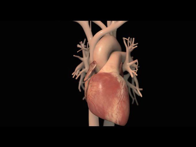 Treatment Options for Heart Failure | Nucleus Health