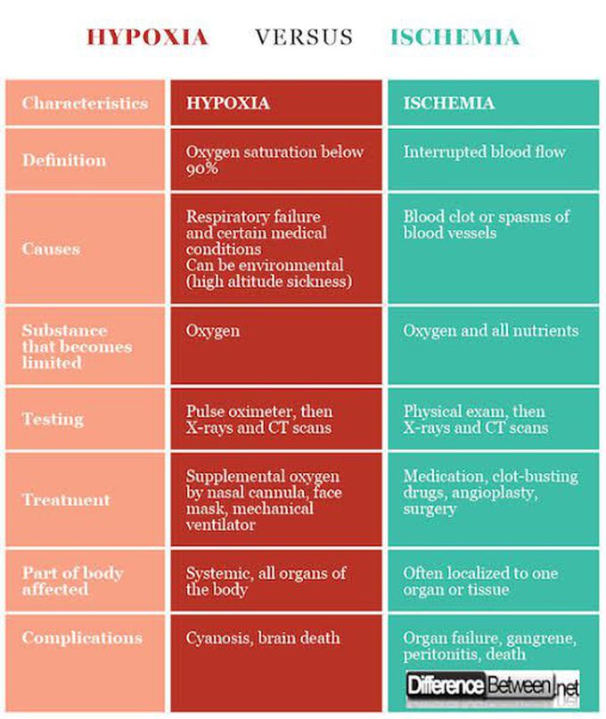 Hypoxia and Ischemia