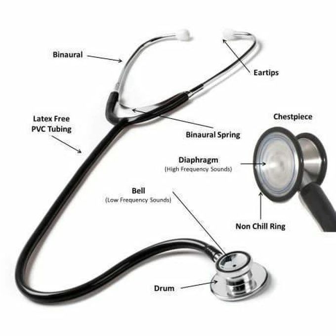 Parts of the Stethoscope