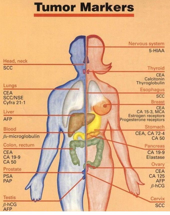 Tumor Markers