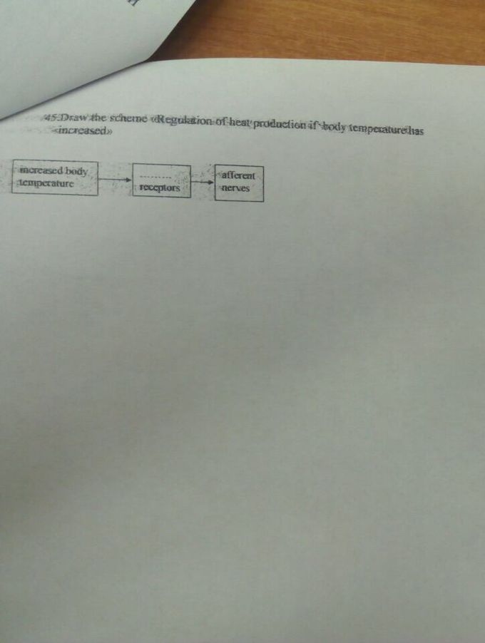Physiology