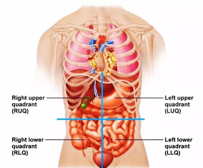 Quadrants of the stomach