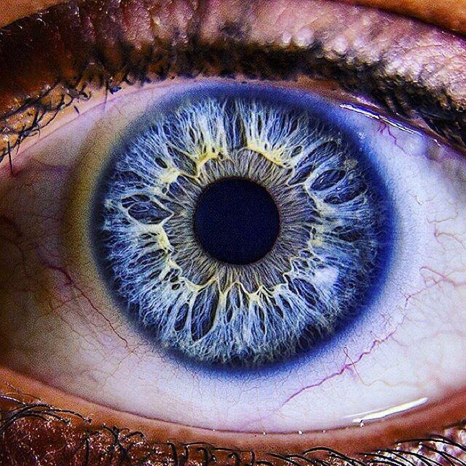 Blue eyes are a result of ancient genetical mutation which - MEDizzy