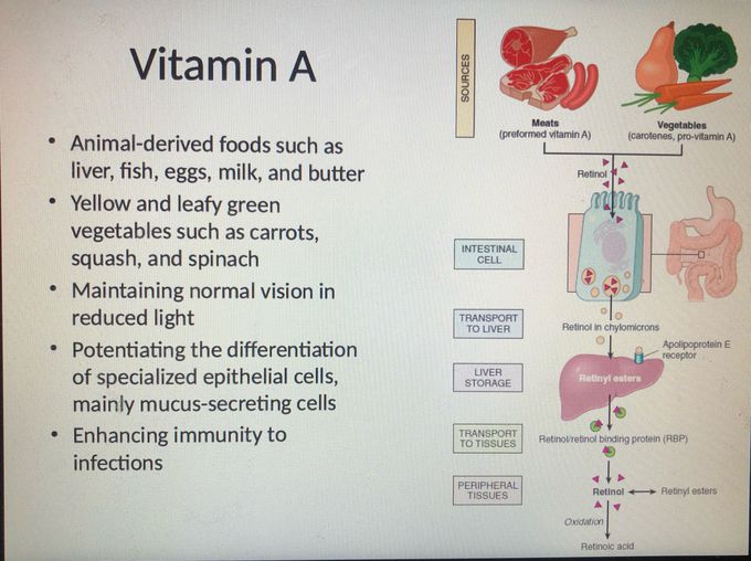 Vitamin A