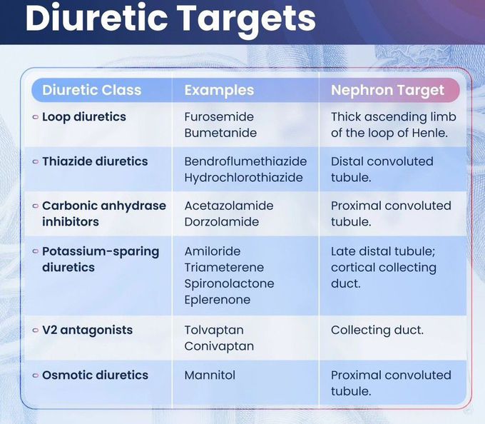 Diuretic Targets