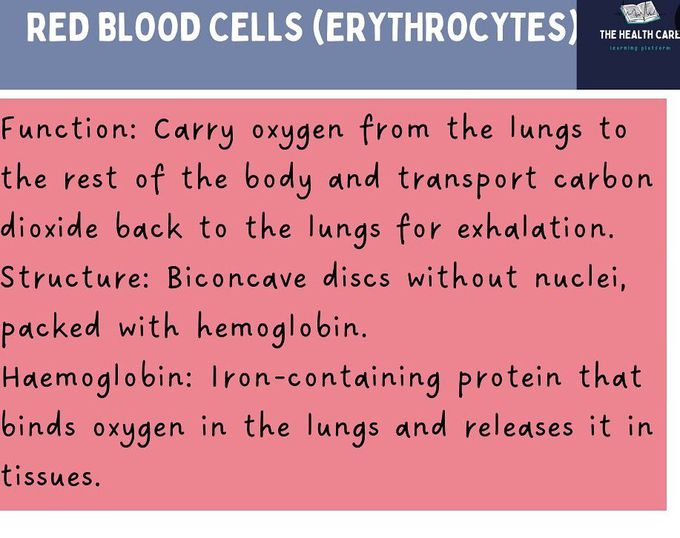 Red Blood Cells