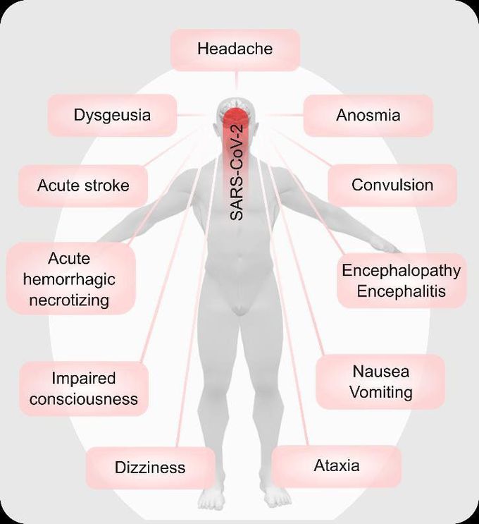 What Are The Symptoms Of Cns Infection Medizzy