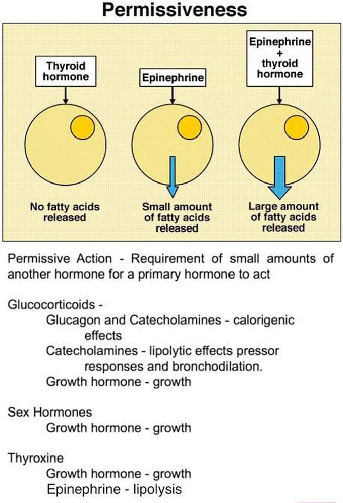 Permissive action