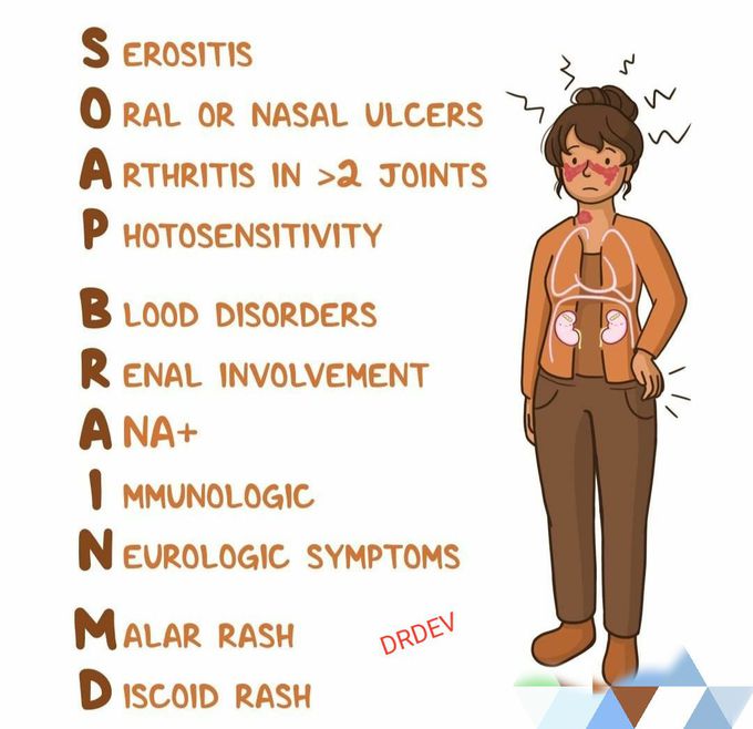 Lupus pathology