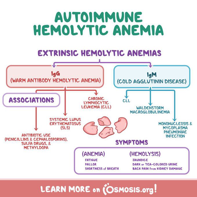 What are hemolytic anemia symptoms?