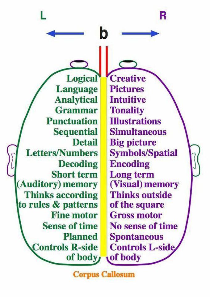 BRAIN
