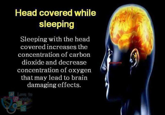 Facts About Human Brain